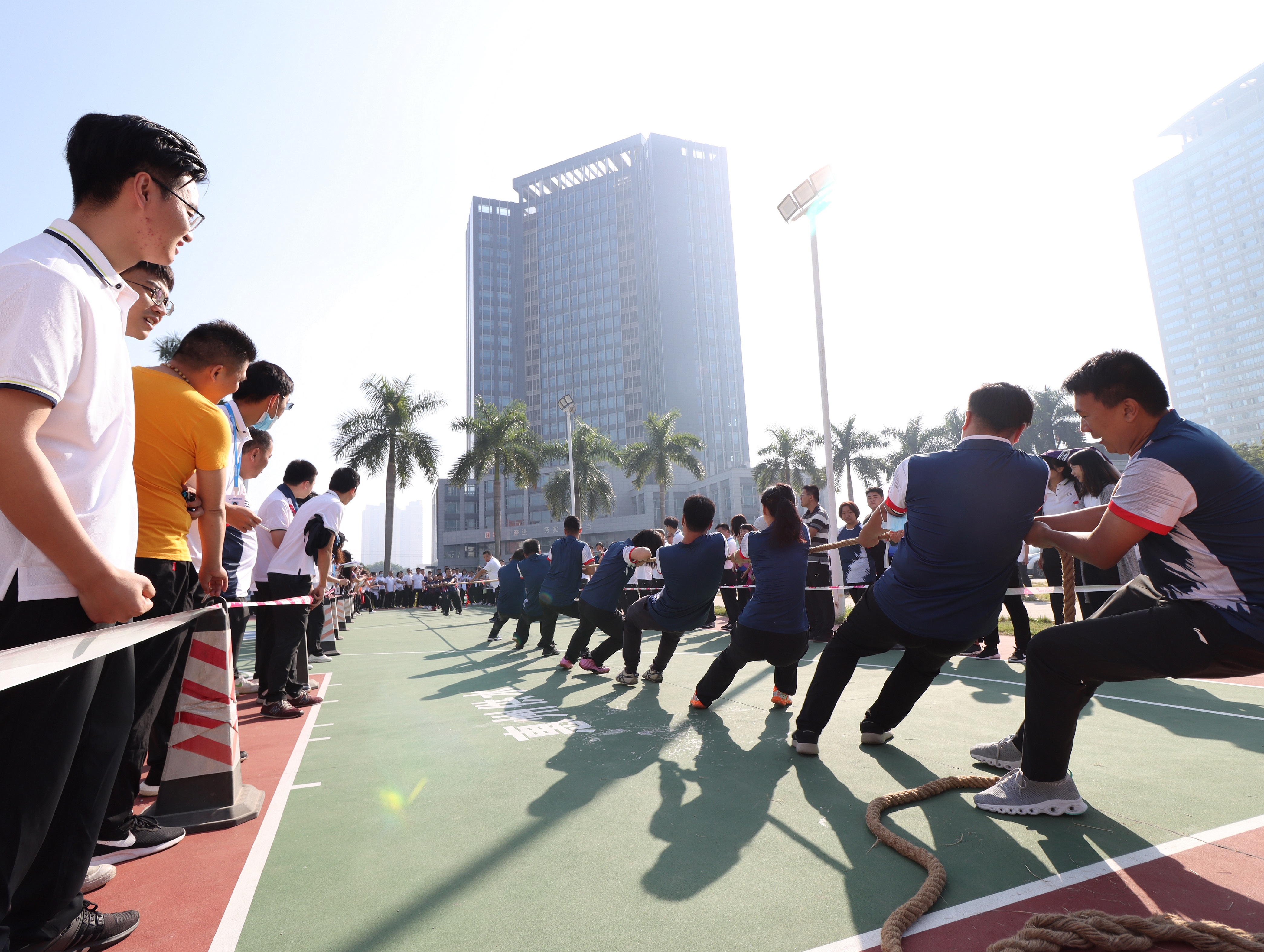 劲往一处——王晓君