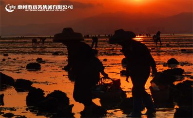 夕阳之歌——何聪聪