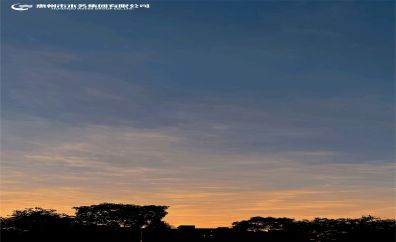 油画之光——骆咏A