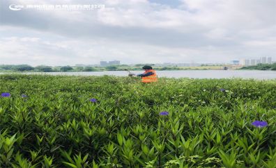 最河涌管护者——廖必芳