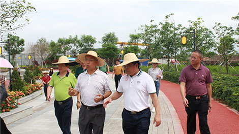 市h大调研组到望江河目视察水生态文明徏设情? /></a><br/><div><span style=