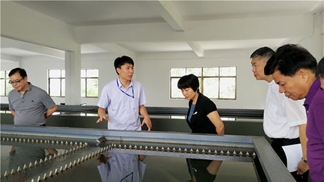 从化区政协领g行调研市供水公司良井分公叔R用水安全理工作