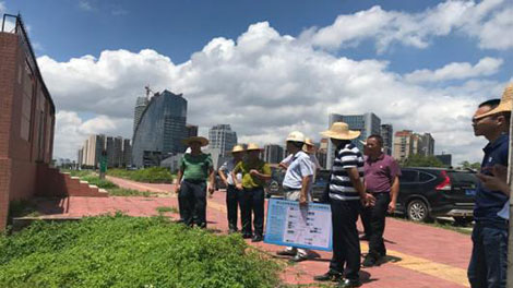 市水务局L召开望江治I沥）水环境综合整dE现场协调会