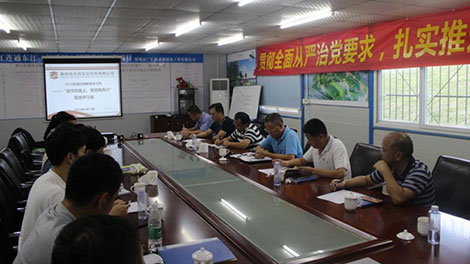 市水投实业党支部开展纪律教育学习月pdzd